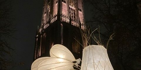 4afb9e6e-8e88-4175-9729-cb585c5f52e7